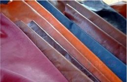 Eco-Friendly Catalysts for PU Leather Resin